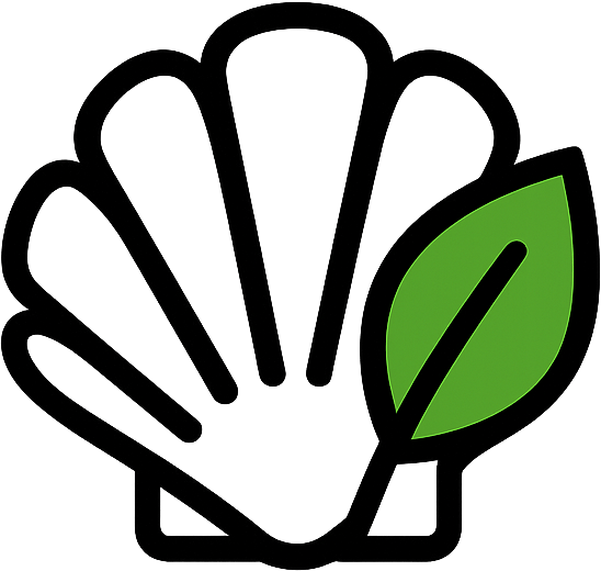 Leaf and Shell